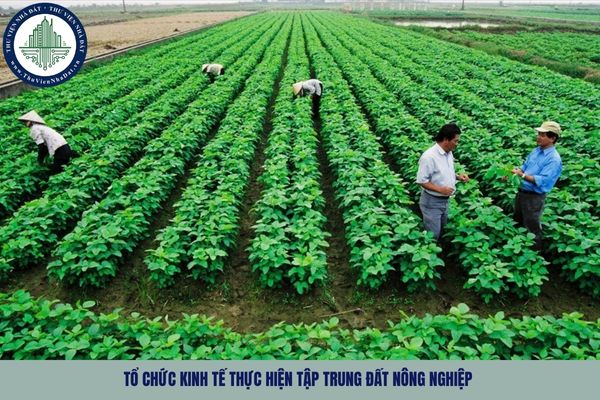 Tổ chức kinh tế thực hiện tập trung đất nông nghiệp tự thỏa thuận với người sử dụng đất về những nội dung gì?