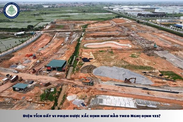Diện tích đất vi phạm được xác định như nào theo Nghị định 123?