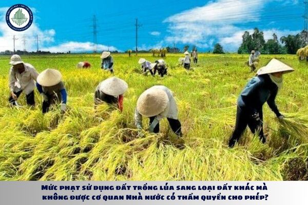 Mức phạt sử dụng đất trồng lúa sang loại đất khác mà không được cơ quan Nhà nước có thẩm quyền cho phép?