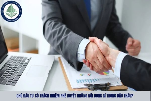 Chủ đầu tư có trách nhiệm phê duyệt những nội dung gì trong đấu thầu?