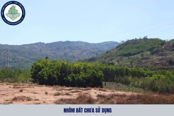 Nhóm đất chưa sử dụng là gì? Quy định về việc đưa đất chưa sử dụng vào sử dụng như thế nào?