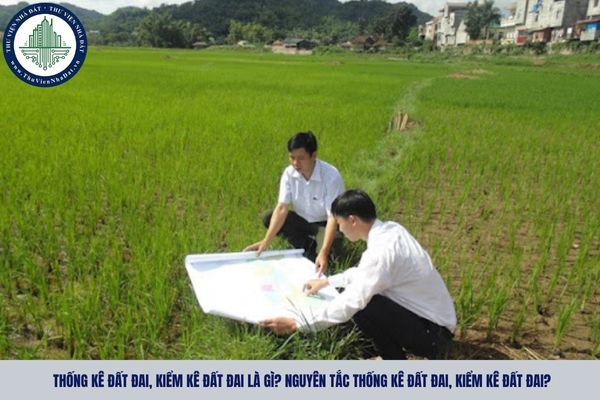 Thống kê đất đai, kiểm kê đất đai là gì? Nguyên tắc thống kê đất đai, kiểm kê đất đai?