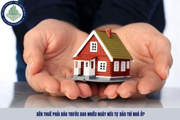 Bên thuê phải báo trước bao nhiêu ngày nếu tự bảo trì nhà ở?