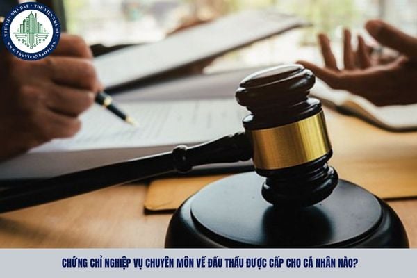 Chứng chỉ nghiệp vụ chuyên môn về đấu thầu được cấp cho cá nhân nào?