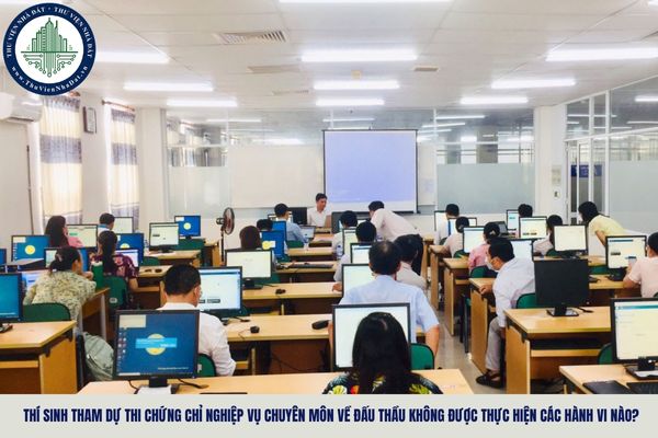 Thí sinh tham dự thi chứng chỉ nghiệp vụ chuyên môn về đấu thầu không được thực hiện các hành vi nào?