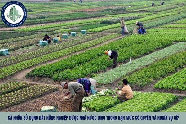 Cá nhân sử dụng đất nông nghiệp được Nhà nước giao trong hạn mức có quyền và nghĩa vụ gì?