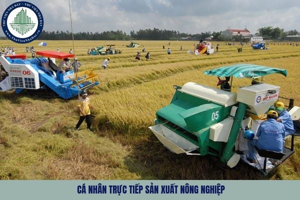 Cá nhân trực tiếp sản xuất nông nghiệp là gì? Quy định về cá nhân trực tiếp sản xuất nông nghiệp được như thế nào?