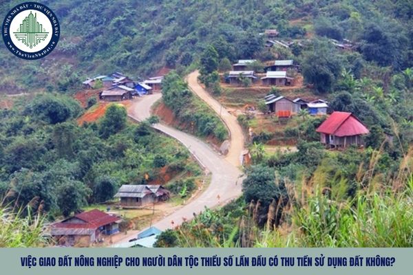 Việc giao đất nông nghiệp cho người dân tộc thiểu số lần đầu có thu tiền sử dụng đất không?