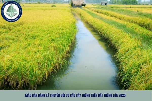 Mẫu bản đăng ký chuyển đổi cơ cấu cây trồng trên đất trồng lúa 2025
