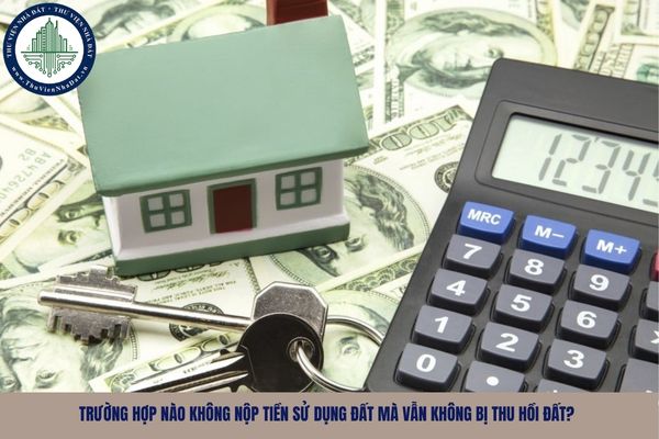 Trường hợp nào không nộp tiền sử dụng đất mà vẫn không bị thu hồi đất?