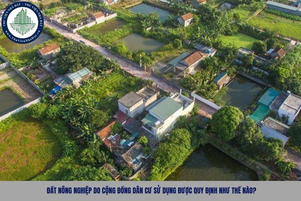 Đất nông nghiệp do cộng đồng dân cư sử dụng được quy định như thế nào?