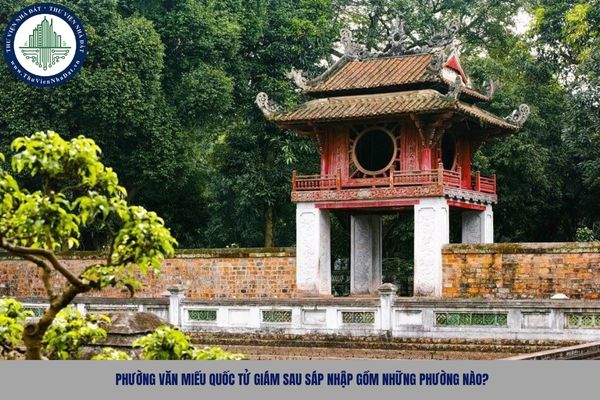 Phường Văn Miếu Quốc Tử Giám sau sáp nhập gồm những phường nào?