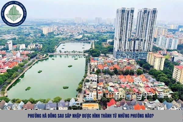Phường Hà Đông sau sáp nhập được hình thành từ những phường nào?