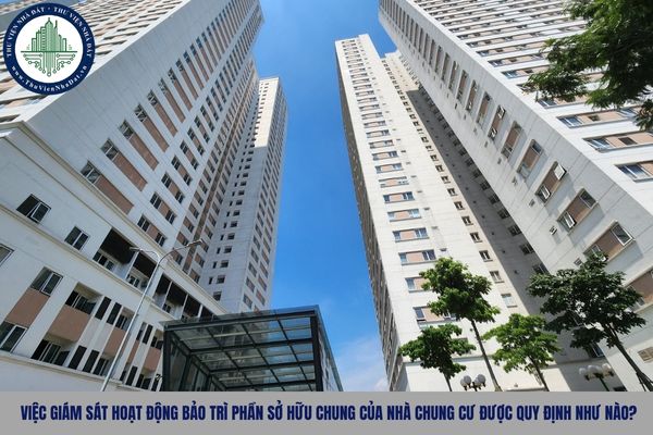 Việc giám sát hoạt động bảo trì phần sở hữu chung của nhà chung cư được quy định như nào?