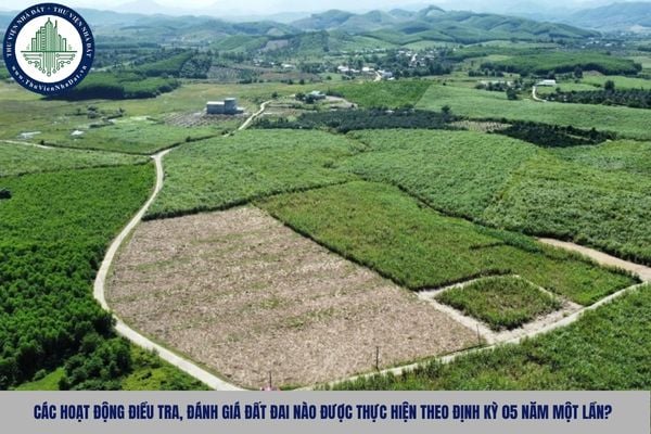 Các hoạt động điều tra, đánh giá đất đai nào được thực hiện theo định kỳ 05 năm một lần?