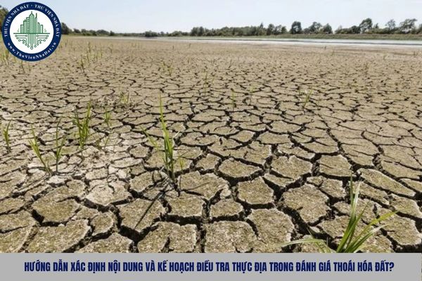 Hướng dẫn xác định nội dung và kế hoạch điều tra thực địa trong đánh giá thoái hóa đất?