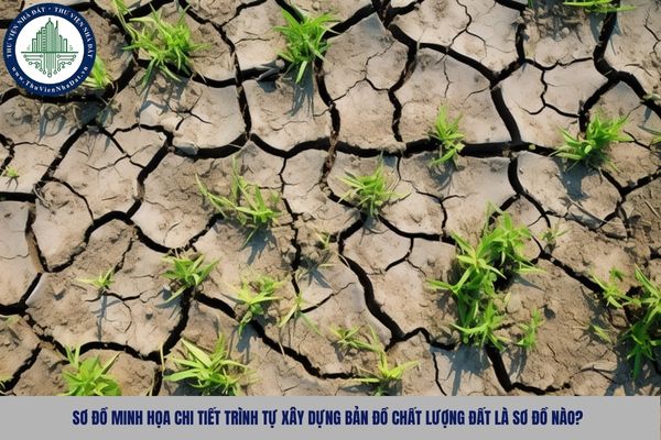 Sơ đồ minh họa chi tiết trình tự xây dựng bản đồ chất lượng đất là sơ đồ nào?