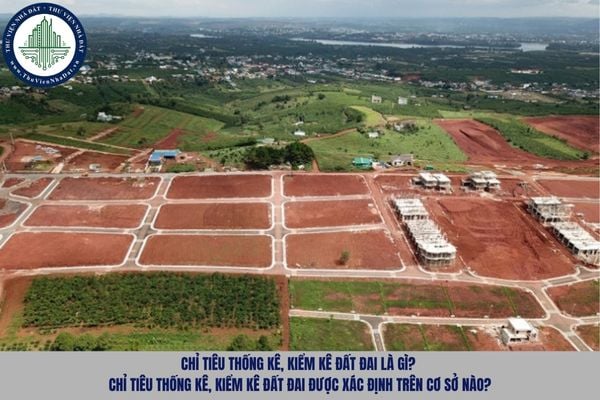 Chỉ tiêu thống kê, kiểm kê đất đai là gì? Chỉ tiêu thống kê, kiểm kê đất đai được xác định trên cơ sở nào?