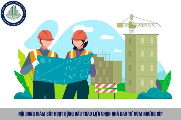 Nội dung giám sát hoạt động đấu thầu lựa chọn nhà đầu tư gồm những gì?