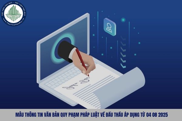 Mẫu thông tin văn bản quy phạm pháp luật về đấu thầu áp dụng từ 04 08 2025