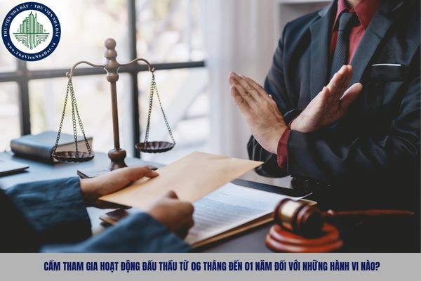 Cấm tham gia hoạt động đấu thầu từ 06 tháng đến 01 năm đối với những hành vi nào?