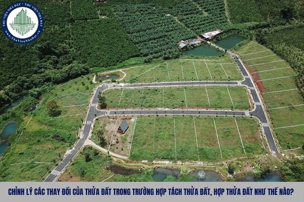 Chỉnh lý các thay đổi của thửa đất trong trường hợp tách thửa đất, hợp thửa đất như thế nào?