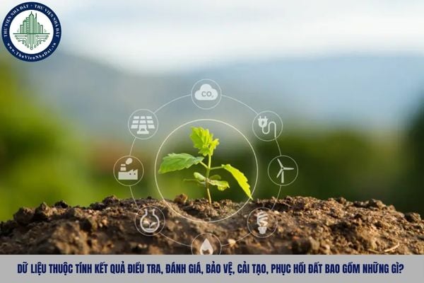 Dữ liệu thuộc tính kết quả điều tra, đánh giá, bảo vệ, cải tạo, phục hồi đất bao gồm những gì?