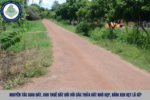 Nguyên tắc giao đất, cho thuê đất đối với các thửa đất nhỏ hẹp, nằm xen kẹt là gì?