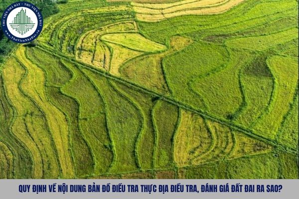 Quy định về nội dung bản đồ điều tra thực địa điều tra, đánh giá đất đai ra sao?