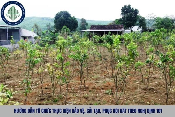 Hướng dẫn tổ chức thực hiện bảo vệ, cải tạo, phục hồi đất theo Nghị định 101