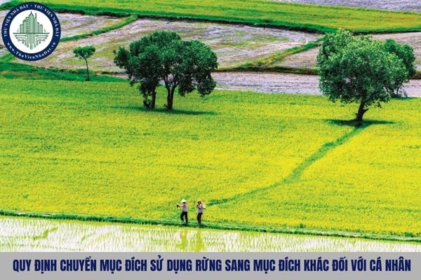 Quy định chuyển mục đích sử dụng rừng sang mục đích khác đối với cá nhân theo Thông tư 16