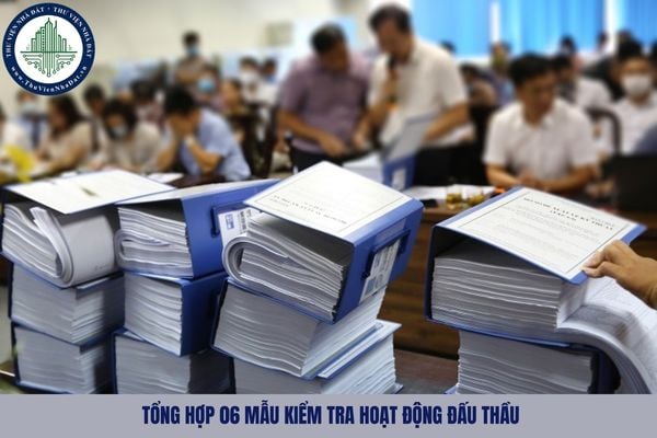 Tổng hợp 06 mẫu kiểm tra hoạt động đấu thầu theo Thông tư 80 áp dụng từ 08 08 2025