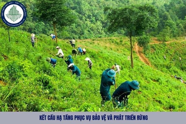 Quy định về kết cấu hạ tầng phục vụ bảo vệ và phát triển rừng như nào?
