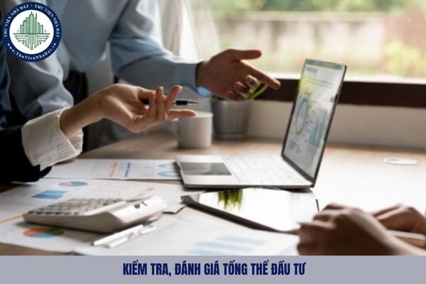 Việc kiểm tra, đánh giá tổng thể đầu tư được tiến hành thông qua cách thức nào?