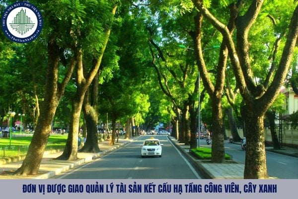 Ai được giao quản lý tài sản kết cấu hạ tầng công viên, cây xanh theo Nghị định 258?