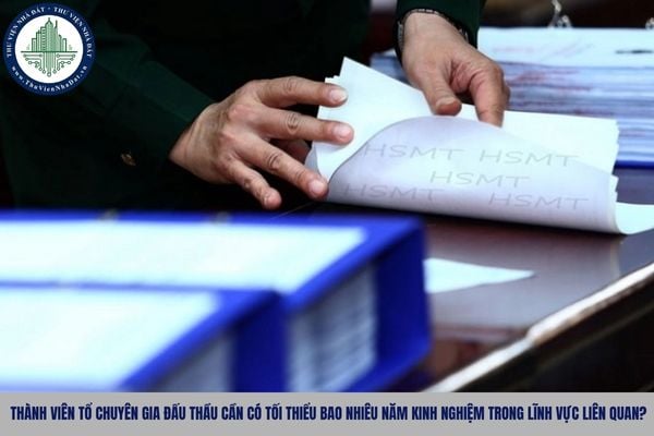 Thành viên tổ chuyên gia đấu thầu cần có tối thiểu bao nhiêu năm kinh nghiệm trong lĩnh vực liên quan?