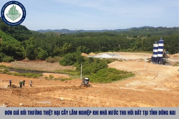 Đơn giá bồi thường thiệt hại cây lâm nghiệp khi Nhà nước thu hồi đất tại tỉnh Đồng Nai theo Quyết định 48