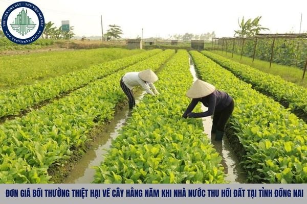 Đơn giá bồi thường thiệt hại về cây hằng năm khi Nhà nước thu hồi đất tại tỉnh Đồng Nai từ 05/11/2025