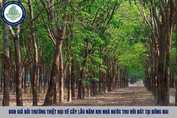 Đơn giá bồi thường thiệt hại về cây lâu năm khi Nhà nước thu hồi đất tại Đồng Nai từ 05/11/2025