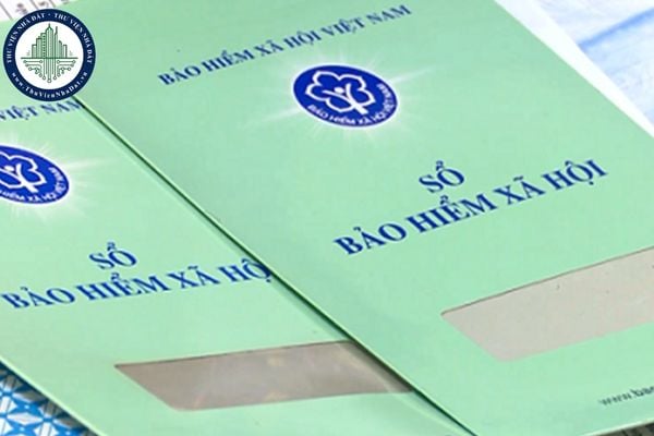 Địa chỉ BHXH tỉnh Quảng Ngãi từ 01/10/2025? Địa bàn quản lý BHXH tỉnh Quảng Ngãi từ 01/10/2025