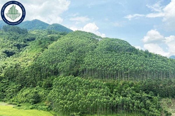https://cdn.thuviennhadat.vn//upload/hinh-anh-bai-viet/NHDT/thang-11-2025/12/don-gia-trong-rung-thay-the-khi-chuyen-muc-dich-su-dung-rung-tai-ha-tinh-tu-16-11-2025.jpg