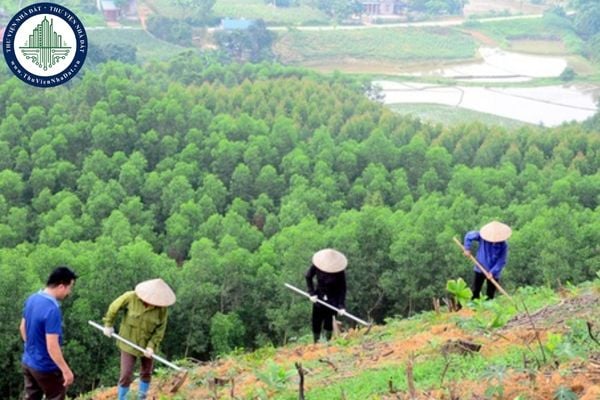 https://cdn.thuviennhadat.vn//upload/hinh-anh-bai-viet/NHDT/thang-11-2025/12/tai-file-quyet-dinh-73-2025-qd-ubnd-don-gia-trong-rung-thay-the-khi-chuyen-muc-dich-su-dung-rung-tai.jpg