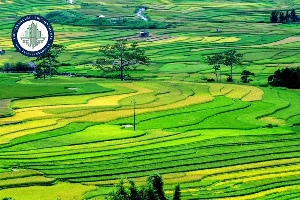Công bố thủ tục hành chính nội bộ lĩnh vực đất đai thuộc phạm vi quản lý của Bộ Nông nghiệp và Môi trường (Quyết định 2417/QĐ-BNNMT)