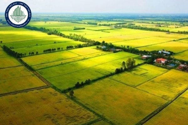 Thủ tục thẩm định phê duyệt quy hoạch sử dụng đất cấp tỉnh theo Quyết định 2417/QĐ-BNNMT