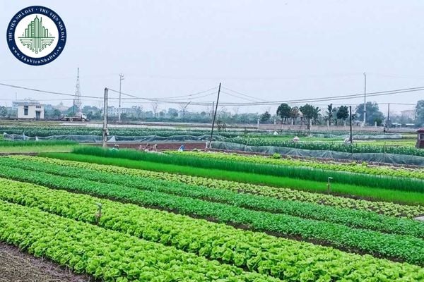 Diện tích đất nông nghiệp được sử dụng để xây dựng công trình phục vụ sản xuất nông nghiệp tại Lai Châu (Quyết định 37/2025/QĐ-UBND)