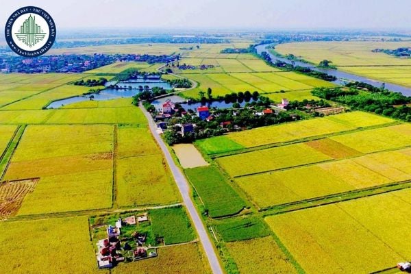 https://cdn.thuviennhadat.vn//upload/hinh-anh-bai-viet/NHDT/thang-9/ngay-12/thanh-hoa.jpg