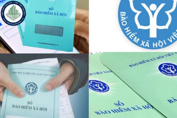 Trụ sở của BHXH cơ sở Bình Tiên từ 01/10/2025? Địa bàn quản lý của BHXH cơ sở Bình Tiên từ 01/10/2025