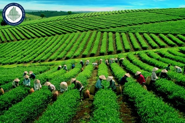 https://cdn.thuviennhadat.vn//upload/hinh-anh-bai-viet/NHDT/thang-9/ngay-3/dat-thai-nguyen.jpg