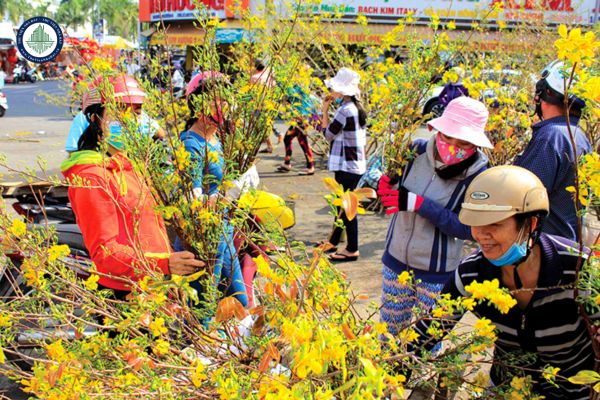 Dự báo thời tiết tết nguyên đán miền Nam có lạnh không? Có phù hợp để đi xem nhà không?