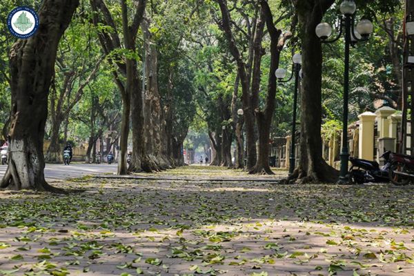 Đường Phan Đình Phùng thuộc phường nào Hà Nội? Có nên thuê văn phòng tại đường này không?